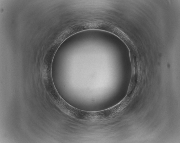 X0000069390209200605150951