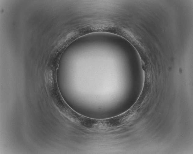 X0000069390211200605150951