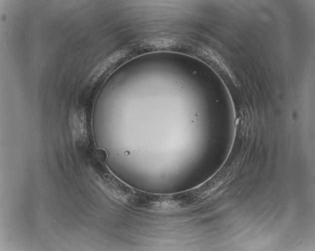 X0000069390212200605150951