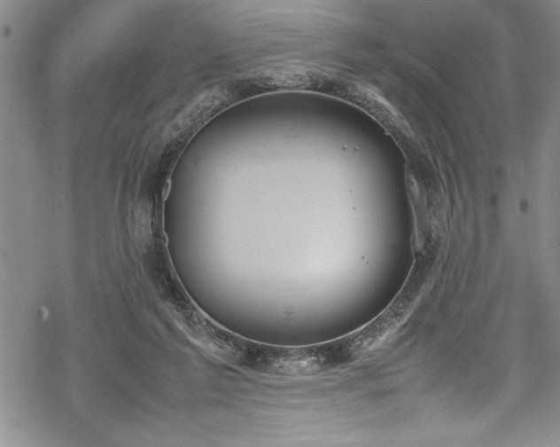 X0000069390213200605150951