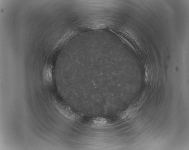 X0000069390214200605150951