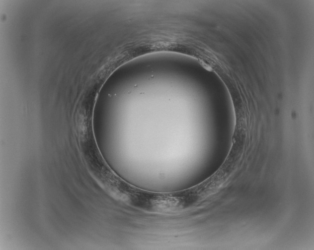 X0000069390215200605150951