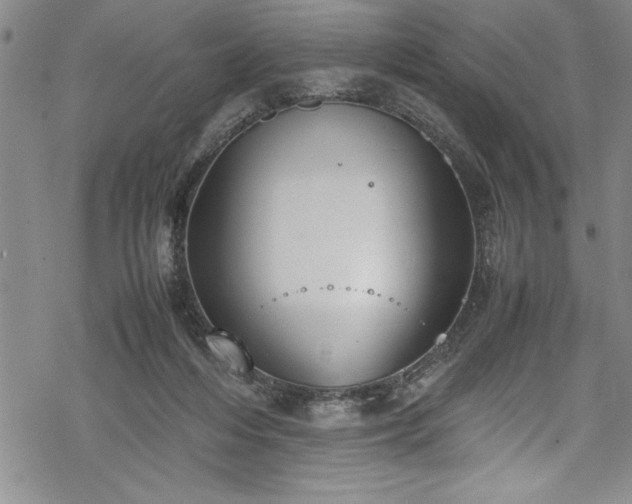 X0000069390216200605150951