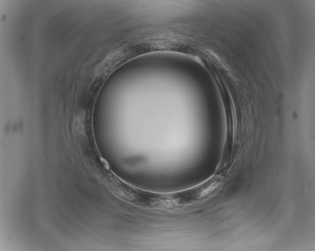 X0000069390217200605150951