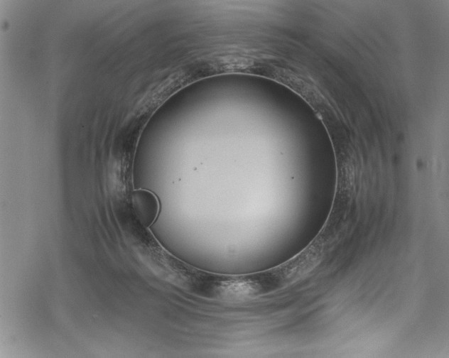 X0000069390218200605150951