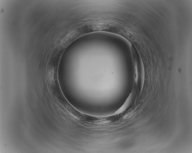 X0000069390219200605150951