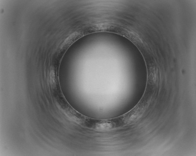 X0000069390220200605150951