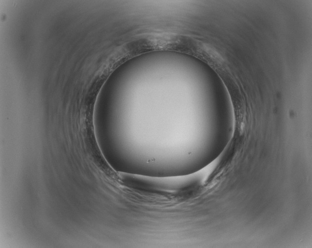 X0000069390221200605150951