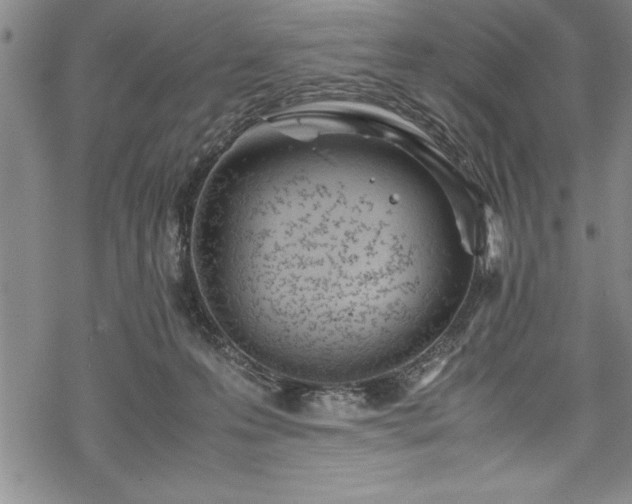 X0000069390223200605150951