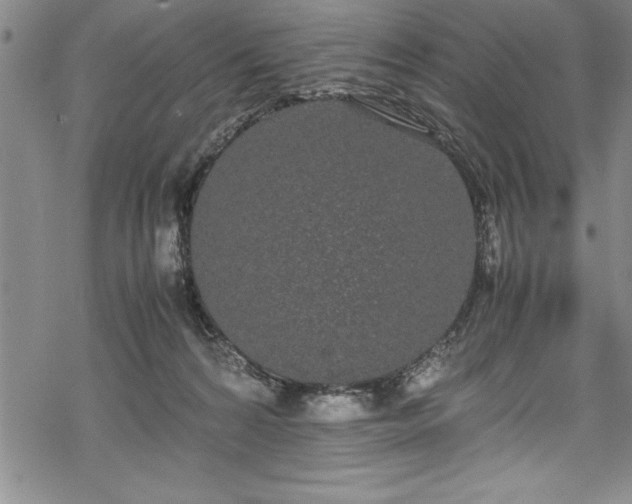 X0000069390224200605150951