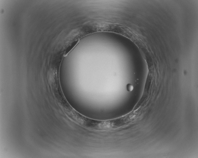 X0000069390225200605150951