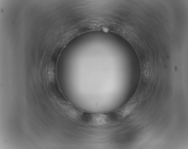 X0000069390226200605150951