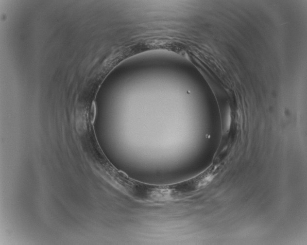 X0000069390227200605150951