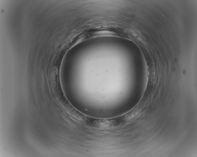 X0000069390229200605150951