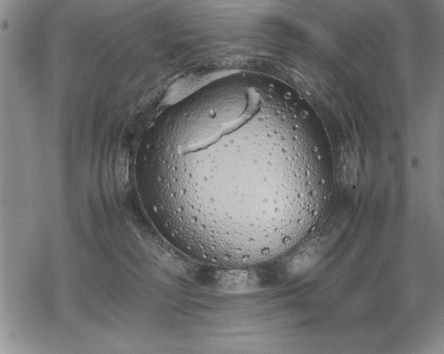 X0000069390230200605150951