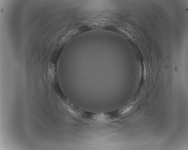 X0000069390231200605150951