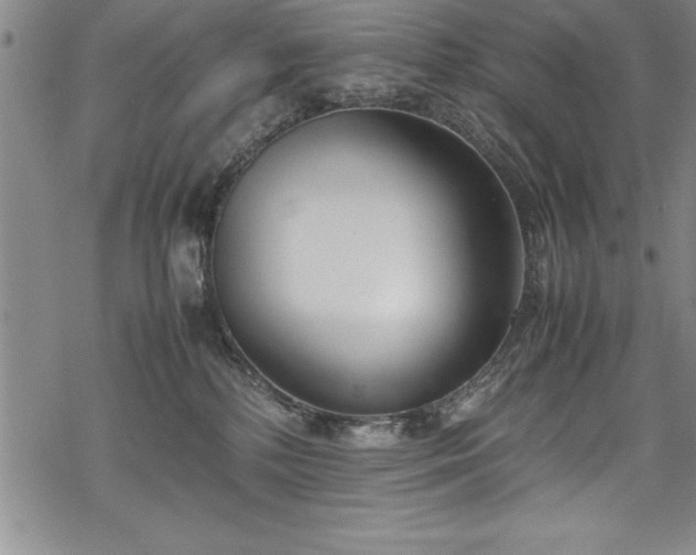 X0000069390232200605150951