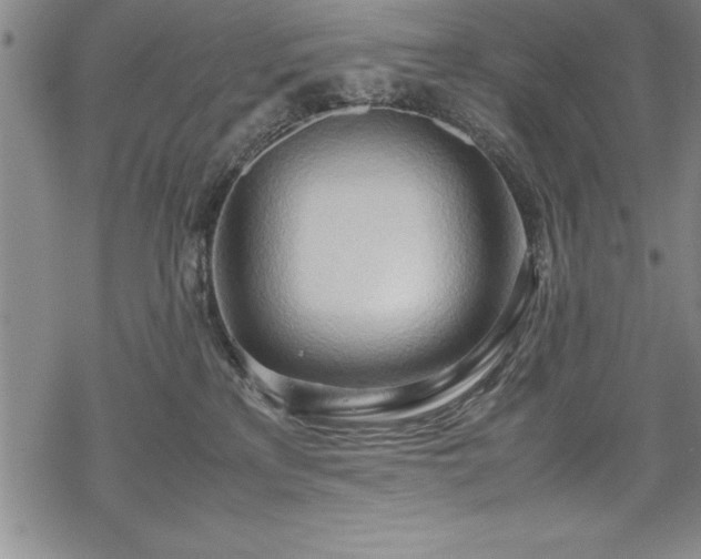 X0000069390233200605150951