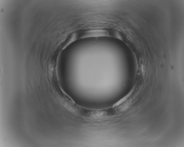 X0000069390235200605150951