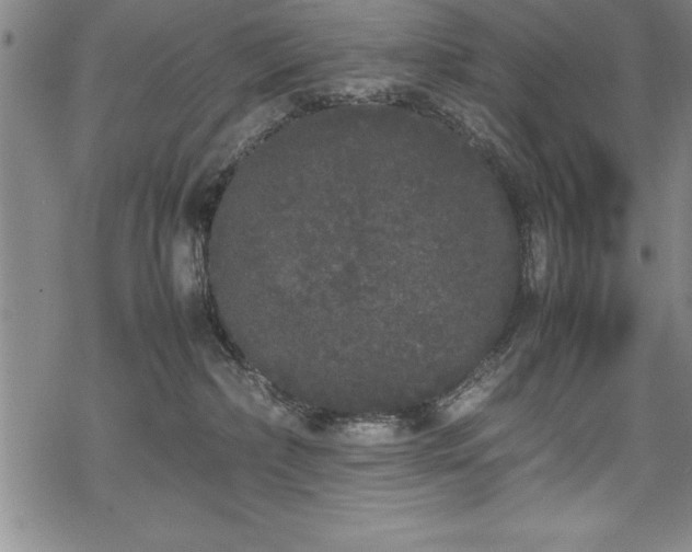 X0000069390236200605150951