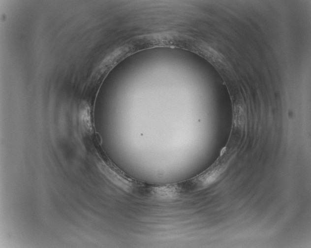 X0000069390238200605150951