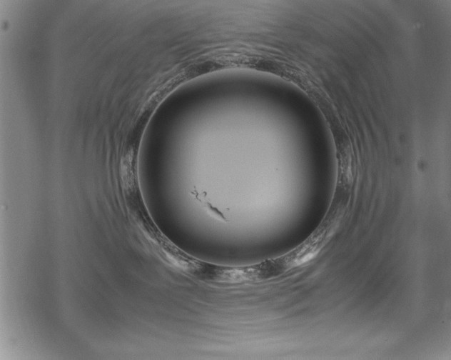 X0000069390239200605150951