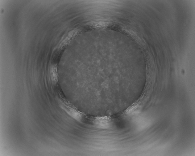 X0000069390240200605150951