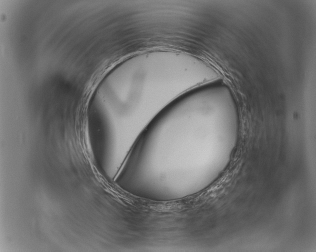 X0000069390241200605150950