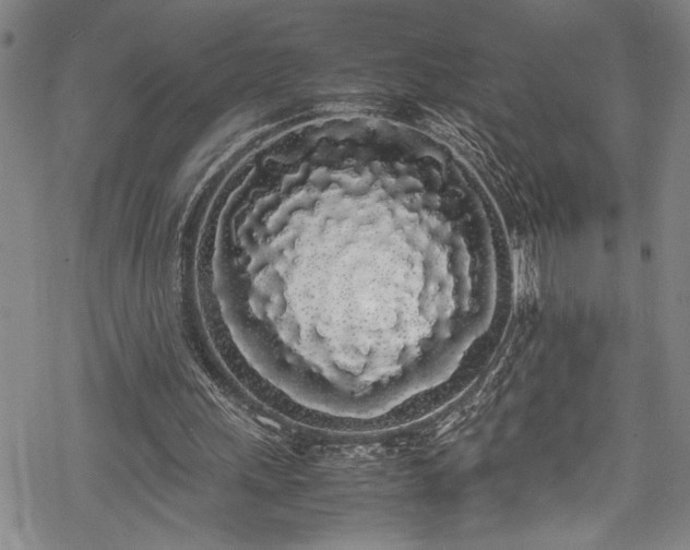 X0000069390243200605150950