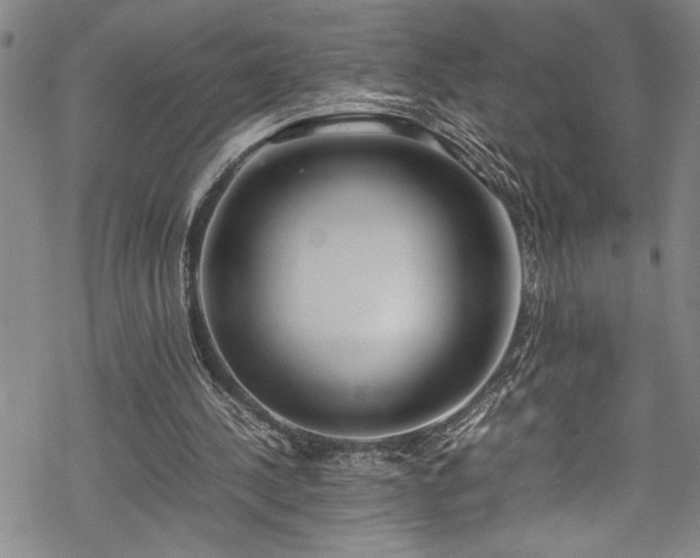 X0000069390244200605150950