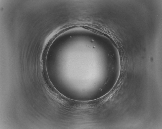 X0000069390246200605150950