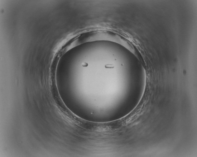 X0000069390248200605150950