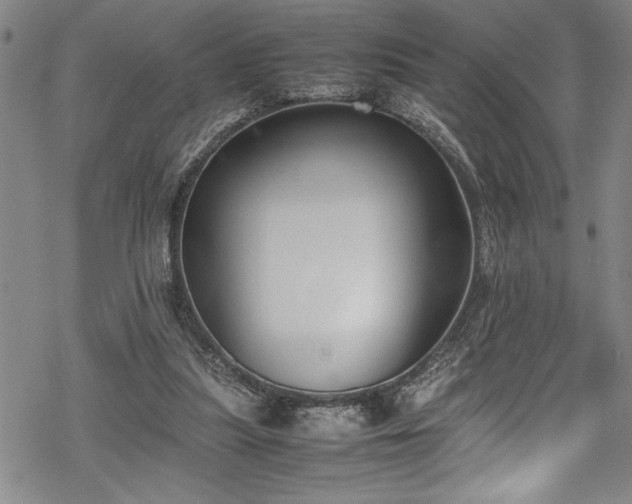 X0000069390251200605150950