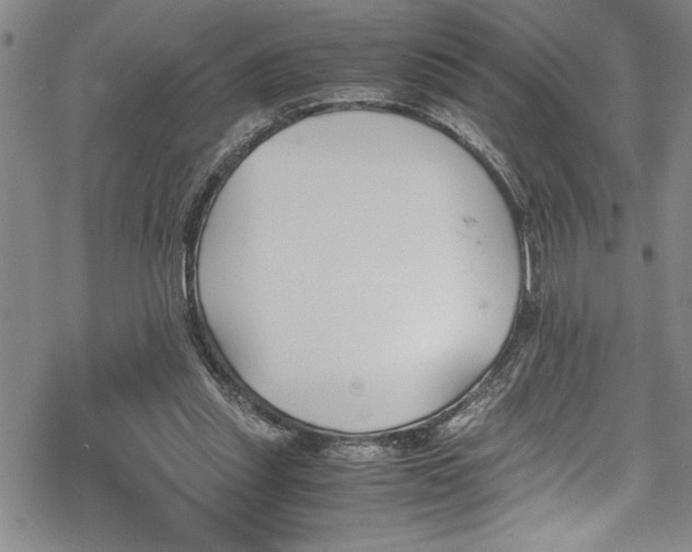 X0000069390253200605150950