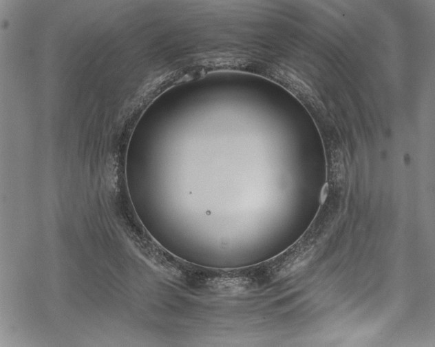 X0000069390255200605150950