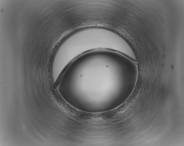 X0000069390256200605150950