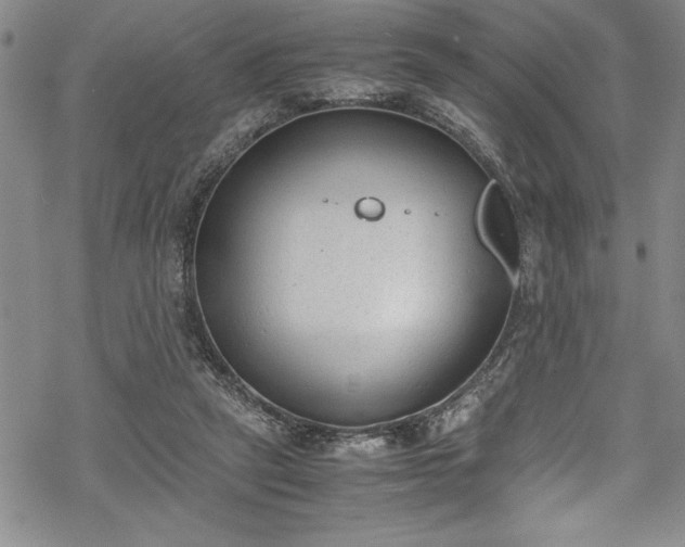 X0000069390257200605150950