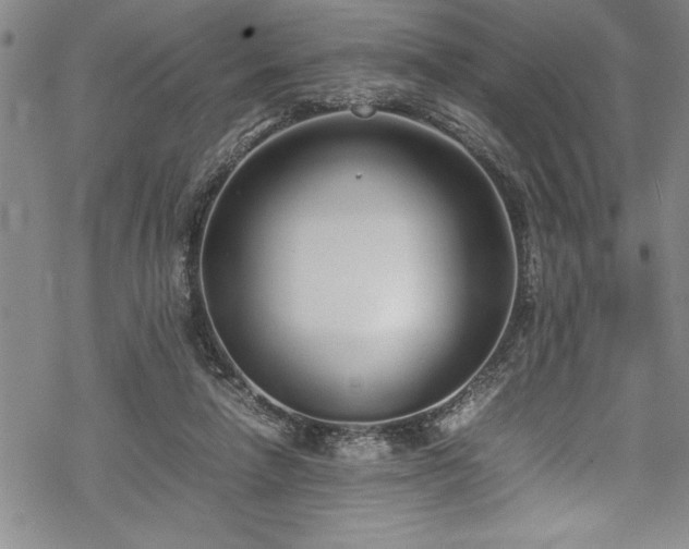 X0000069390258200605150950