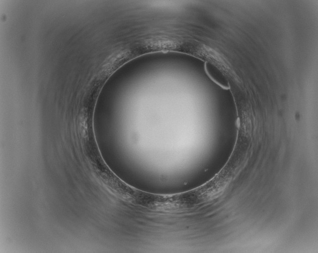 X0000069390259200605150950