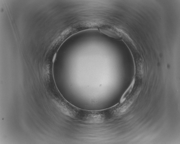 X0000069390260200605150950