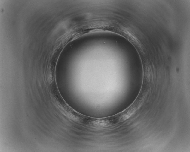 X0000069390261200605150951