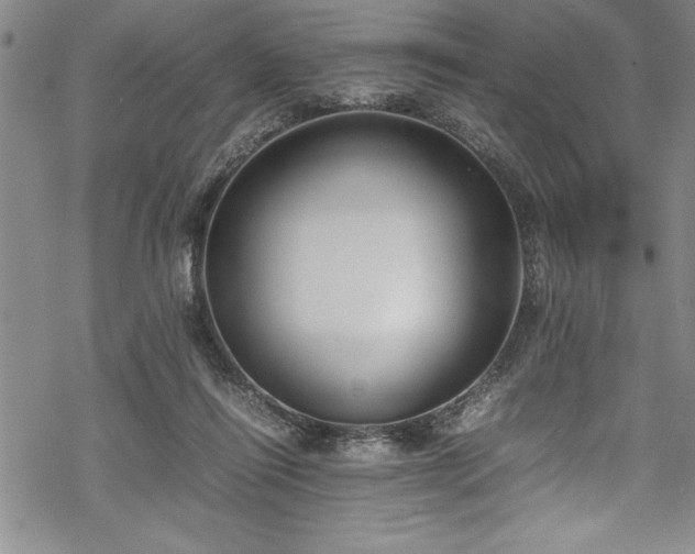 X0000069390262200605150951