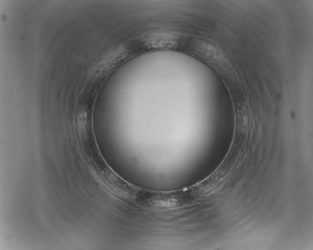 X0000069390263200605150951