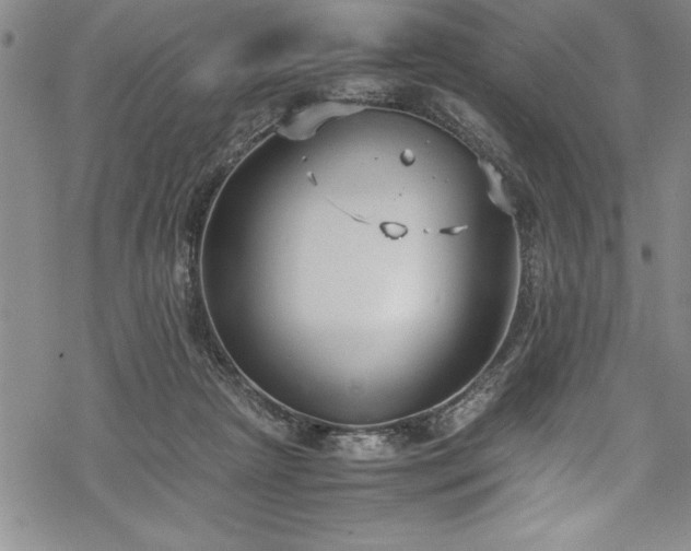 X0000069390265200605150951