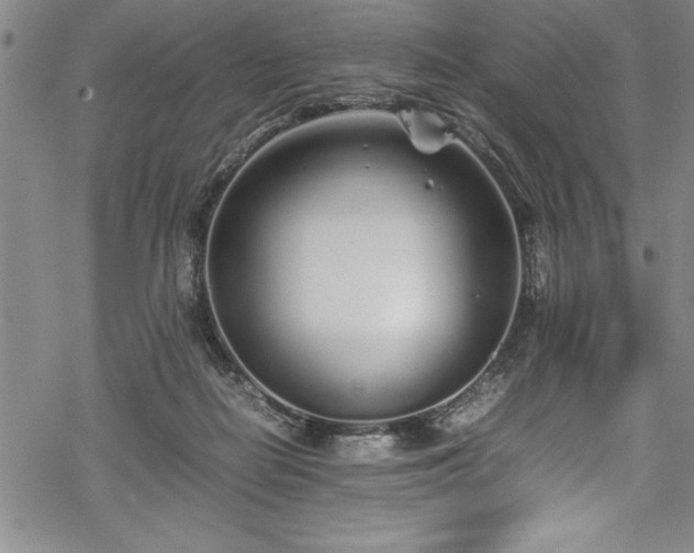 X0000069390266200605150951