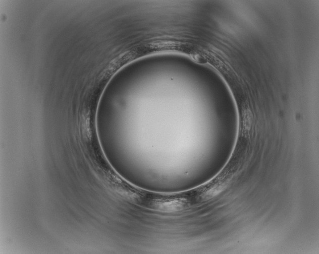 X0000069390267200605150951