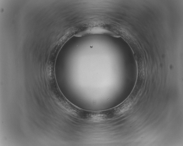 X0000069390268200605150951