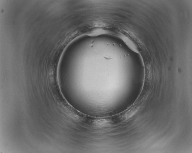 X0000069390269200605150951