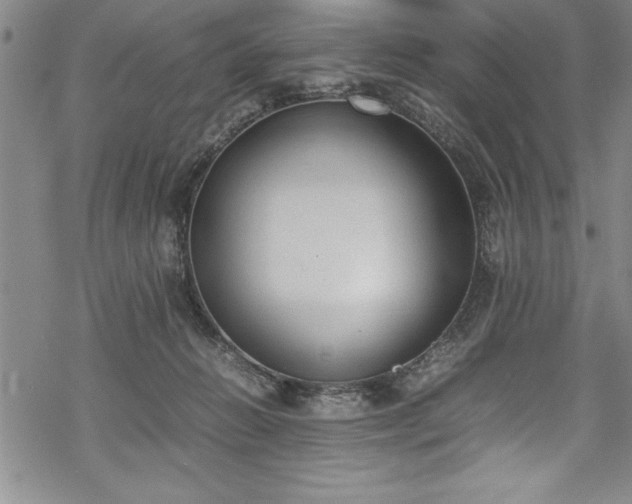 X0000069390270200605150951