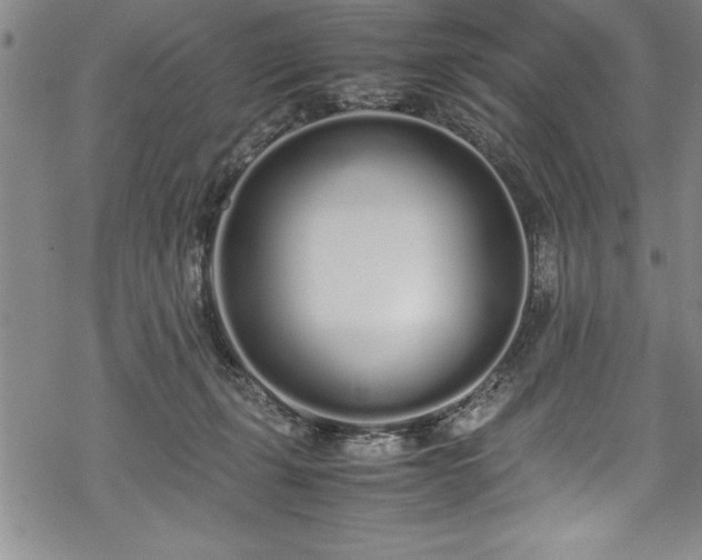 X0000069390271200605150951